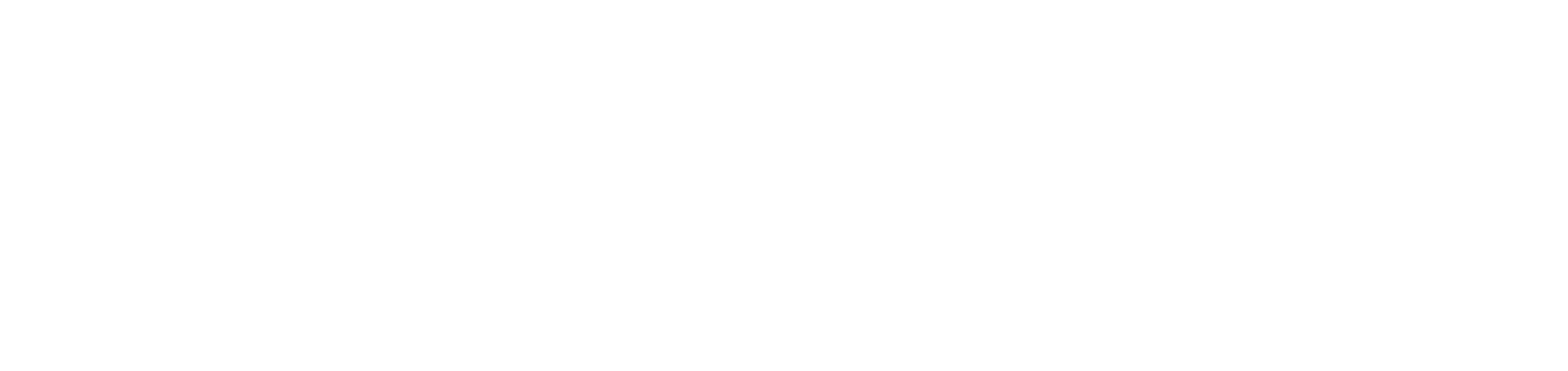 VISA MASTERn